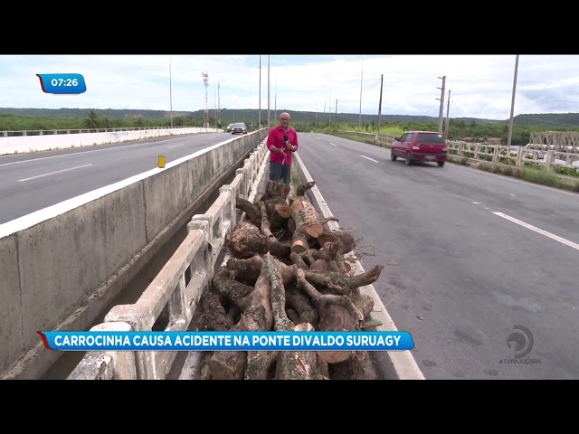 Acidente na AL 101 Sul deixa troncos de árvores em plena estrada.