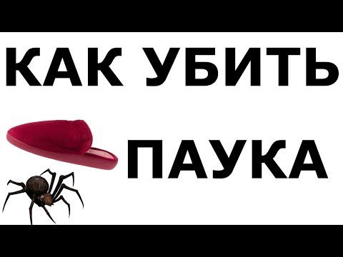 КАК УБИТЬ ПАУКА КАК УБИТЬ ПАУКА