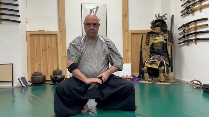 Ogawa Ryu - During class on 雷鳴 Raimei - Shidoshi Jordan Augusto - Excellent!