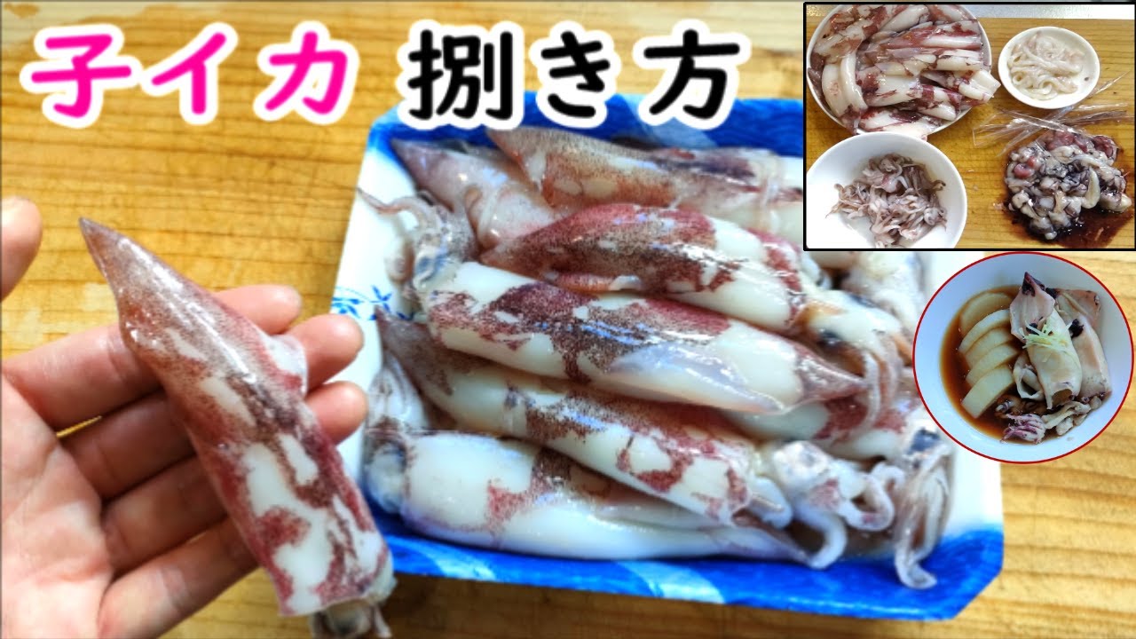 ヒイカってお腹出すの 質問に応えるために実証してみました 3パターンの下処理をボイルして一番美味しい調理段階を決定 ヒイカ ヒイカの煮付け ジンドウイカ Youtube ヒイカってお腹出すの 質問に応えるために実証してみました 3パターンの下処理をボイルして一番美味しい調理段階を決定 ヒイカ ヒイカの煮付け ジンドウイカ Youtube
