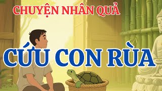 Cứu Con Rùa Mù, 3 Năm Sau Nó Quay Lại Trả Ơn, Cả Làng Thoát Nạn Trong Gang Tấc!