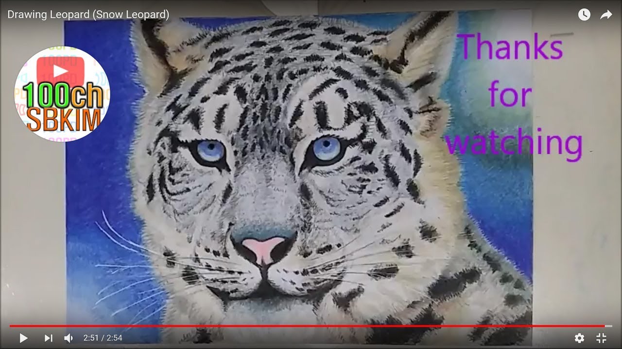 Drawing Leopard (Snow Leopard)