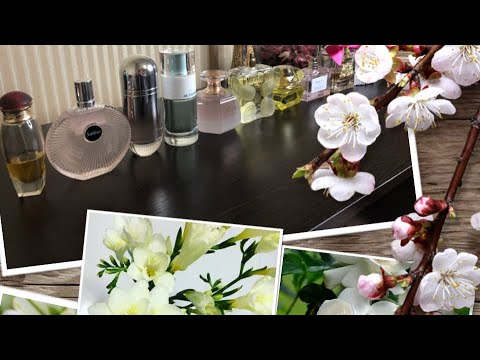 Топ 12 белоцветочных ароматов Любимые Белоцветочные парфюмы Головокружительные белые цветы в парфюме