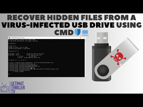 How to Recover Hidden Files from a Virus-Infected USB Drive Using CMD in Windows