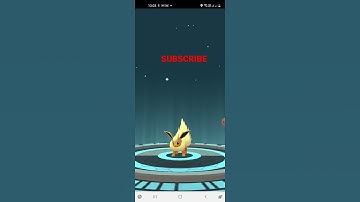 Evolving Shiny Eevee into Flareon(Pokémon Go)