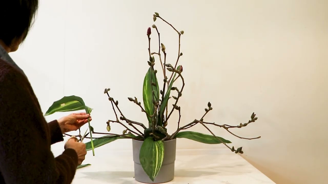 사순절 성전꽃꽂이 하기 / 자목련 스타치스 엽난으로 /3월 교회꽃꽂이