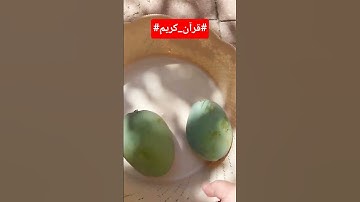 #قرآن_كريم#سورة المائدة _بصوت الشيخ_ياسر الدوسرى#اكسبلور #المصحف #لايك #