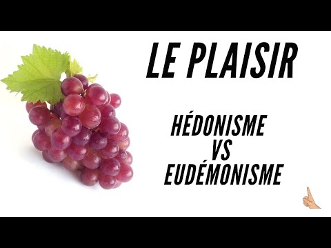 Vídeo: Eudemonisme - què és? Exemples d'eudemonisme