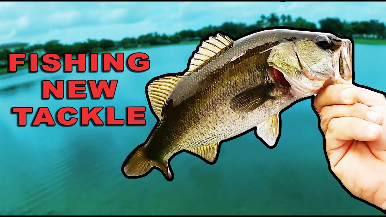 FISHING NEW TACKLE BASS FISHING [Googan Baits, Bearfoot Outdoor, Hoax