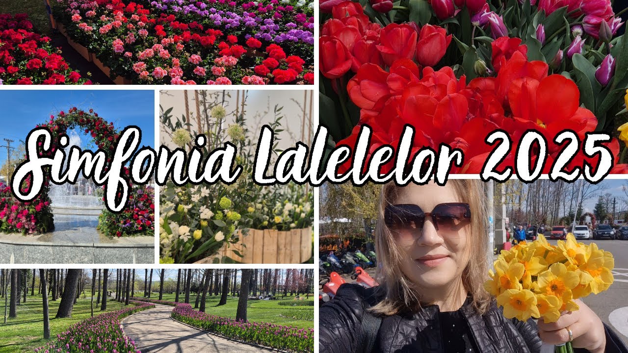Simfonia Lalelelor 2025 | Culori, Lalele si Zambete
