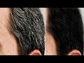 Apply it 1 Night // White Hair Turn To Jet Black Permanently CONVERT GREY HAIR TO BLACK