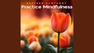 Mindfulness Satisfaction Wealth