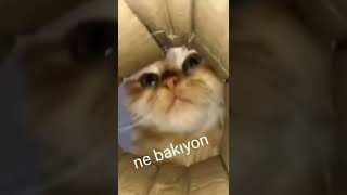 Ne Bakıyon