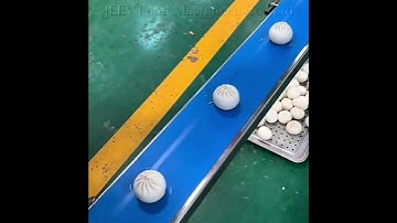 Automatic Baozi Rolling Machine | Fast & Efficient Steamed Bun Line