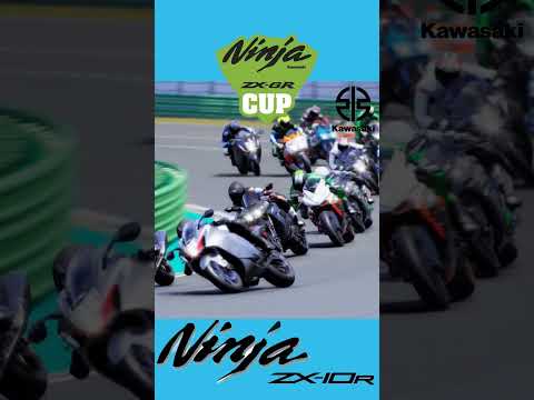 Kawasaki ninja zx 10r world fast bike #bike #automobile #bikeracing