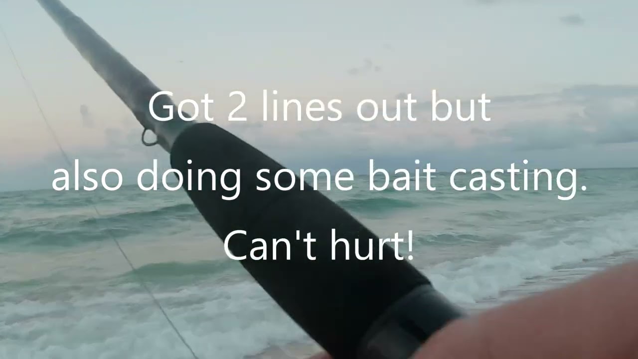 Canal Fishing somewhat close to the Hollywood Beach, FL area? : r/Fishing