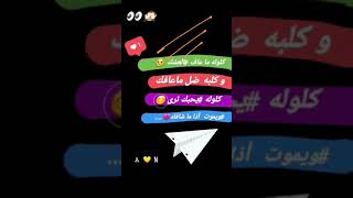 احله ستوري من قناة الزعيم استوريات حزينه