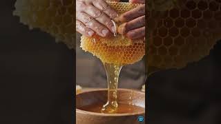 جنگلی شہد نکالنے کا خطرناک عمل | Pure Honey Hunting دنیا کا خالص ترین شہد کیسے بنتا ہے؟