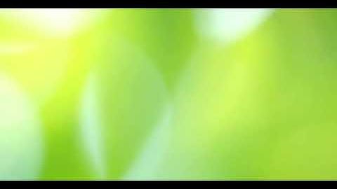 Nature Background Blur Bokeh Creative Video for Projects and Video Editing