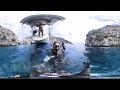 Scuba Diving with a 360 Camera at Ascension Island- Sailing Vessel Delos
