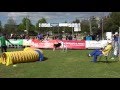 Agility Corroios 2016