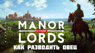 :   Manor Lords:   
