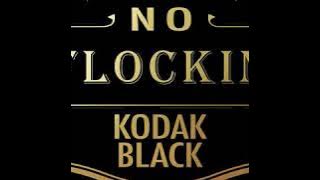 Kodak Black - 'NO FLOCKIN'