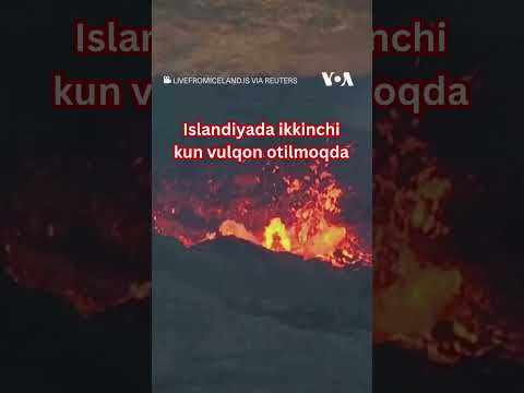 Video: Islandiya hududlari