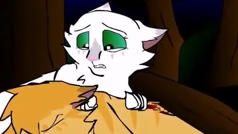 Warriors MAP: Safe and Sound (Part 6 and 7)