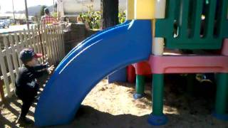 LEMOS FARM play structure