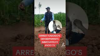 Baby KADOGO Was Killed By Her Grandparents ?..shorts vootv trending kenyadigitalnews vlog