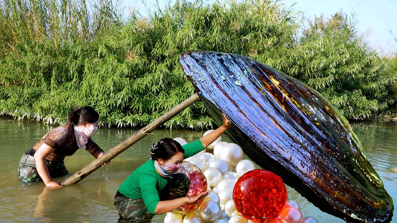 😱😱The girl discovered a giant clam, which gave birth to countless super sized high-quality pearls
