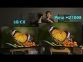 LG CX vs Panasonic HZ1000 (2020) OLED TV Comparison