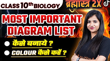 CLASS 10 BIOLOGY CHAPTER WISE MOST IMPORTANT DIAGRAM LIST | POOJA MAM #class10 #class10boardexam
