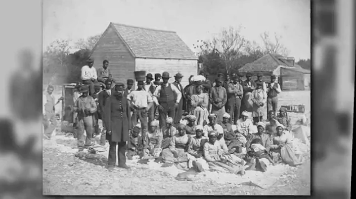 Dr. Maria Franklin: Anthropologist