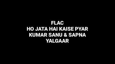 Ho Jata Hai Kaise Pyar: Kumar Sanu & Sapna: Yalgaar: Hq Audio Flac 90s Hindi Song