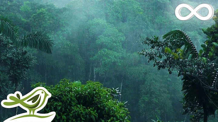 Permanent Link to 10 Hours of Relaxing Music & Soft Rain – Sleep Music, Fall Asleep, Soft Piano Music