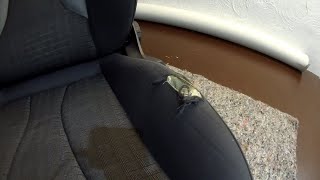 Car seat repair. Audi A3 Ambition.
