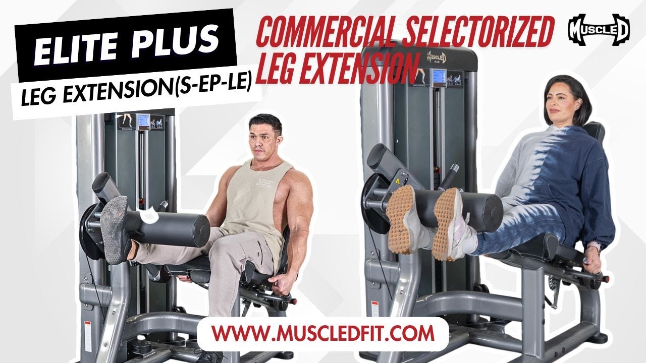 Muscles Commercial Muscle D Fitness Commercial Selectorized Leg Extension (S-EP-LE) - YouTube
