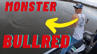 Huge Redfish Action in Pensacola, Florida
