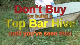 Don't Buy or Build a Top Bar Hive - until you have watched this!