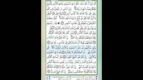 سورة لقمان الآيات 25-26 تلاوة الشيخ أيمن سويد #قليل_دائم_خير