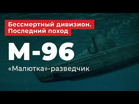Бессмертный дивизион. Последний