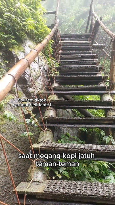 Tangga Mas bawa kopi jatuh #youtubeshorts #lucu
