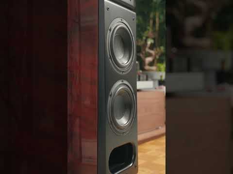 BASS MONSTER AUDIOPHILE