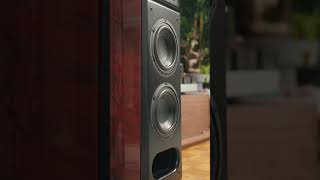 BASS MONSTER AUDIOPHILE SPEAKERS DONE RIGHT!