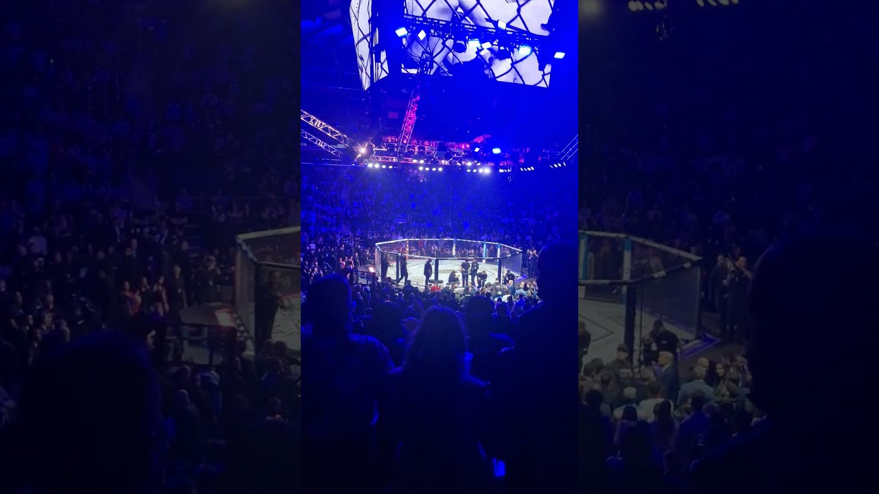 UFC 309 Intro (Baba O'Reiley The Who + Face The Pain)