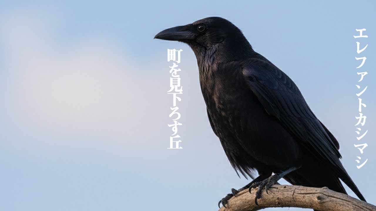 2435回 エレファントカシマシ アルバム語り 『町を見下ろす丘』