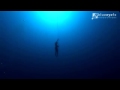 Freediving World Record by Natalia Molchanova (Free Immersion 90 meters)