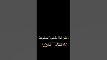 قران #اكسبلور #المصحف #دويتو #القزابري #لايك #الرحمن #duet #الظروف #راحة_نفسية #العظماء قران كريم 🌎🤍